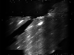 ascat_grayscale_ch6.png